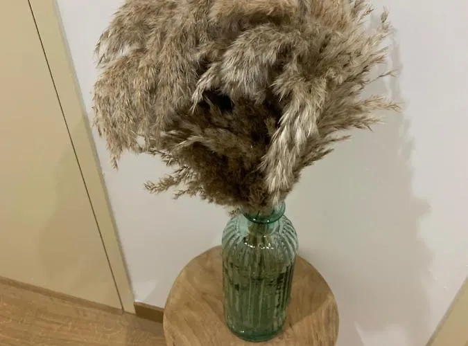 Or Appartamento Manosque