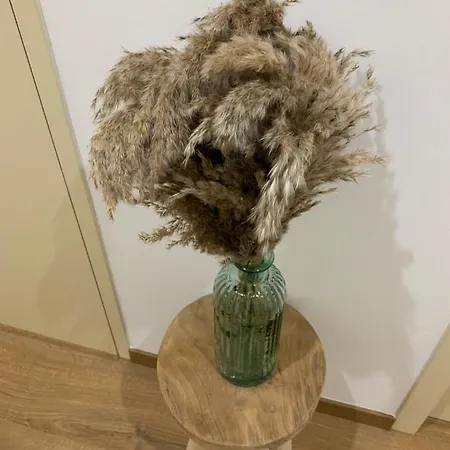 Or 公寓 马诺斯克